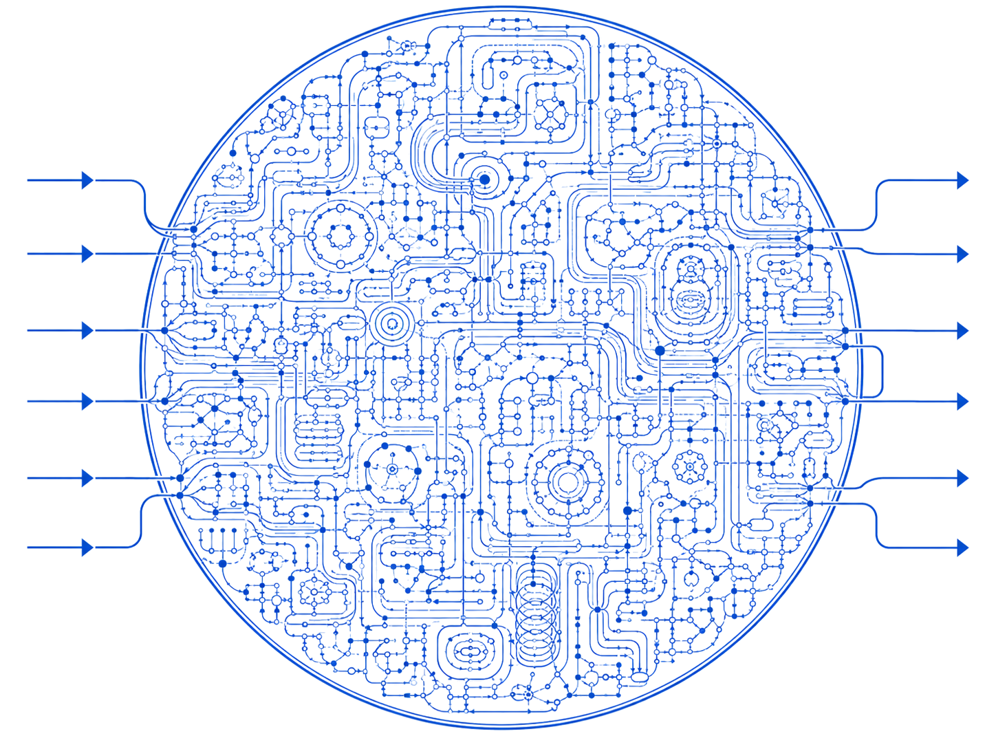 Biological complexity