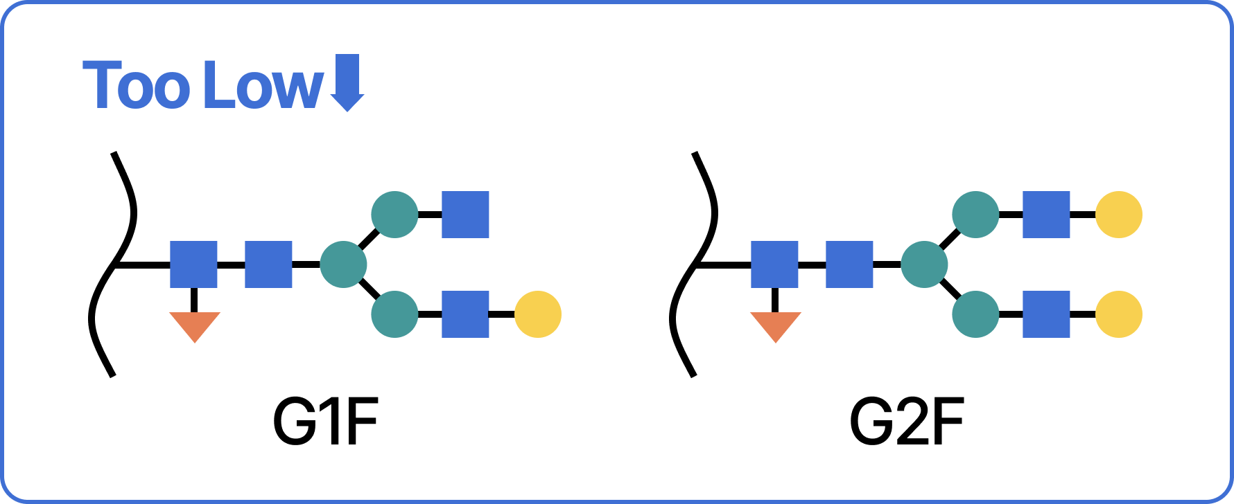 Diagram of the G1F and G2F glycoforms, labelled too low