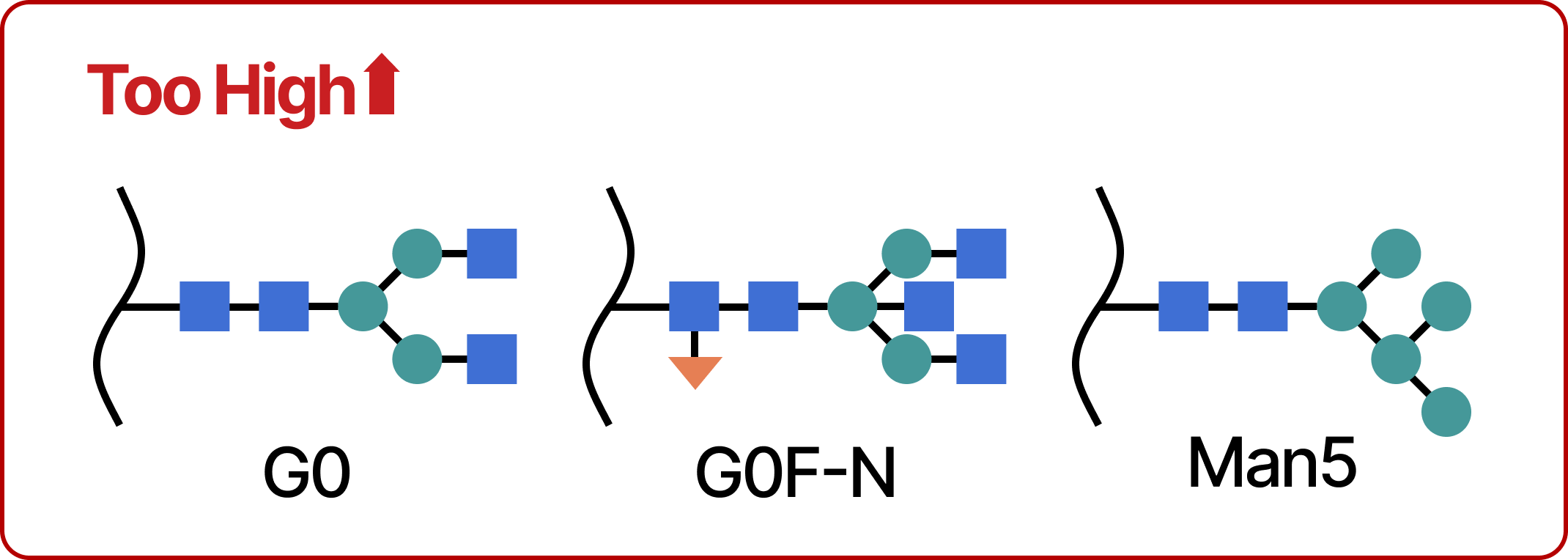 Diagram of the G0, G0F-N, and Man5 glycoforms, labelled too high